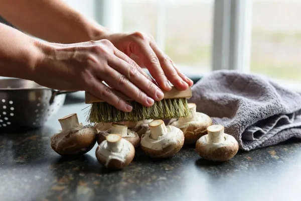 Hands brushing dirt from cremini mushrooms beside a damp towel and colander